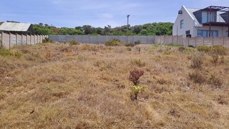 0 Bedroom Property for Sale in Jongensfontein Western Cape